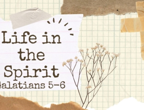 Life in the Spirit – Galatians 5 & 6